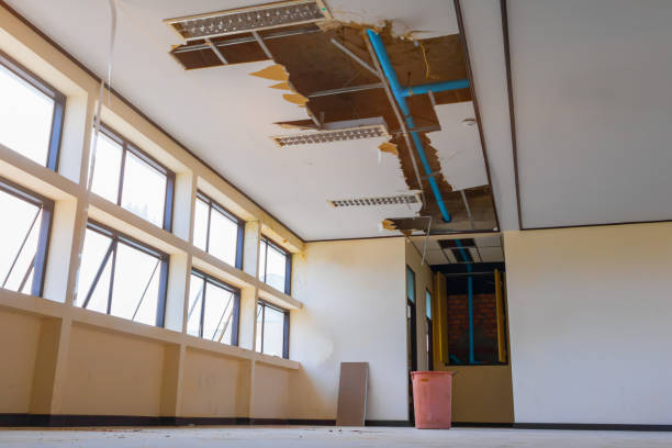 Best Water damage mitigation services  in Tuntutuli, AK