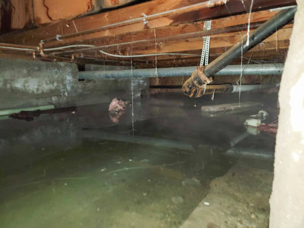 Best Residential water damage restoration  in Tuntutuli, AK