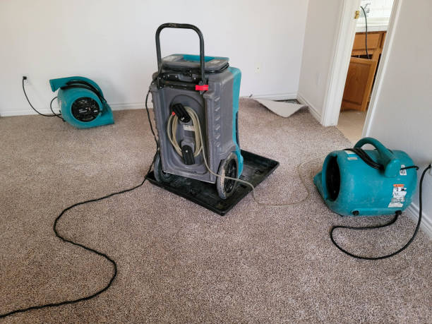 Best Water damage restoration near me  in Tuntutuli, AK