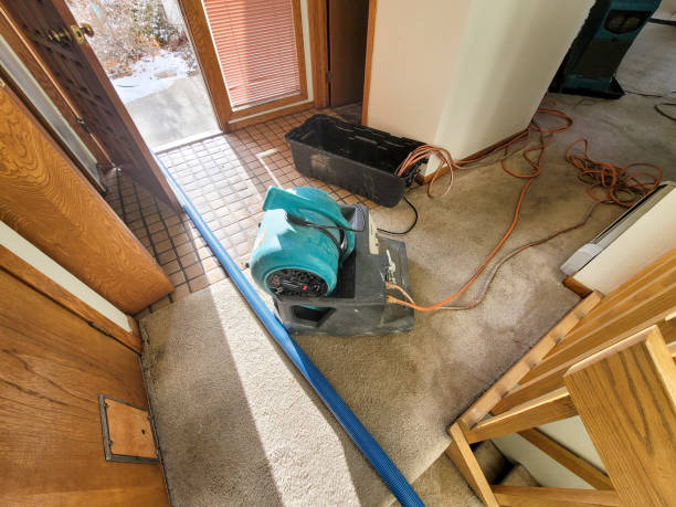  Tuntutuli, AK Water damage restoration Pros