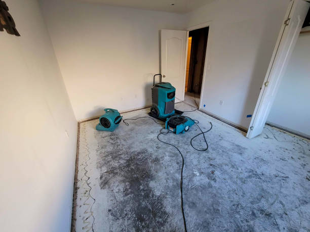 Best 24/7 water damage repair  in Tuntutuli, AK