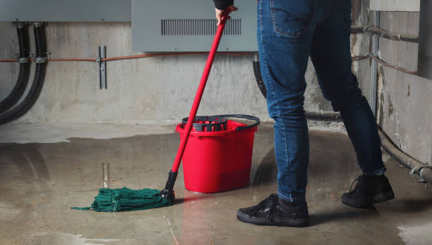 Best Flood restoration services  in Tuntutuli, AK