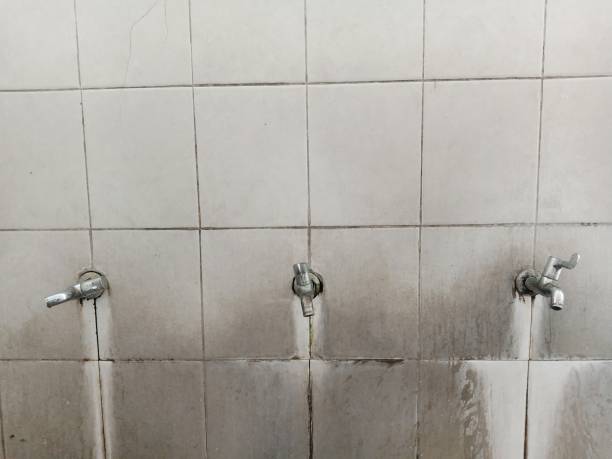 Best Water damage repair service  in Tuntutuli, AK