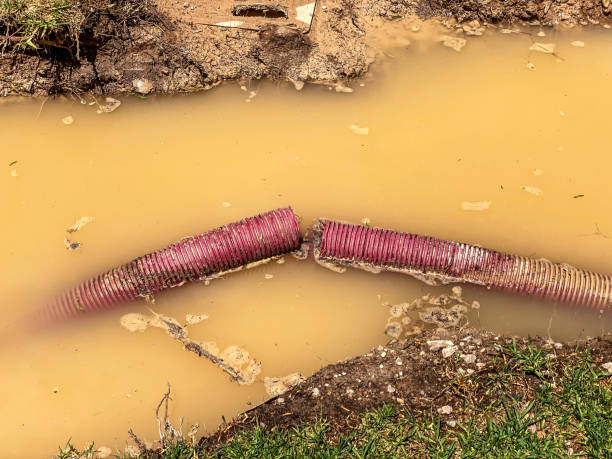 Best Flood damage cleanup  in Tuntutuli, AK