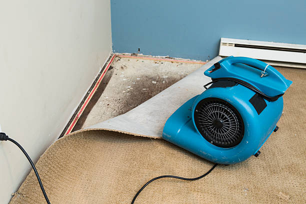 Best Water damage restoration experts  in Tuntutuli, AK